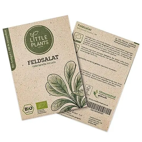 Produktbild: Little Plants BIO Feldsalat Samen, 300 Feldsalatsamen, hohe Keimrate, 100% Natürlich, BIO Samen Feldsalat Vit für deinen Gemüsegarten Gemüsebeet Hochbeet – BIO Salatsamen Gemüsesamen Nachhaltig