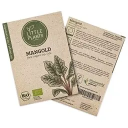 Produktbild: Little Plants BIO Mangold Samen, 60 Mangoldsamen, hohe Keimrate, 100% Natürlich, BIO Samen Mangold Rhubarb Chard für Gemüsegarten, Gemüsebeet, Hochbeet – BIO Gemüsesamen Saatgut Nachhaltig