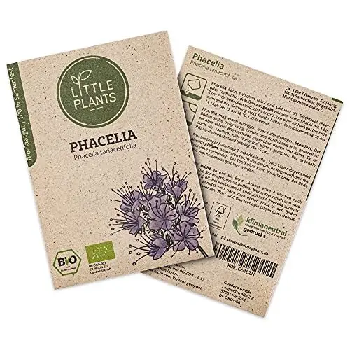 Produktbild: Little Plants BIO Phacelia Samen, 1250 Phaceliasamen, hohe Keimrate, 100% Natürlich, BIO Samen Bienenfreund für Blumengarten Blumenbeet Hochbeet – BIO Blumensamen Blumenwiese Nachhaltig
