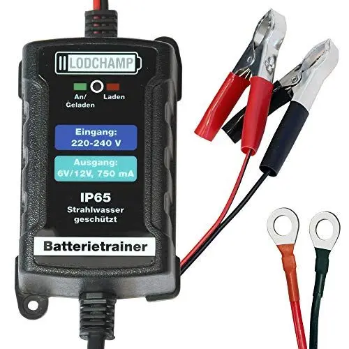 Produktbild: LODCHAMP 146303 Battery Trainer 6 V/12 V-750 mAh IP65 Wartungsladegerät Batterieladegerät Wartungsladegerät für Auto, Motorrad, Quad, ATV, Boot, Silber
