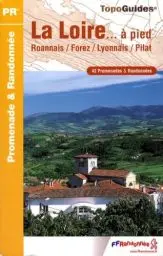 Produktbild: Loire a Pied 42 Promenade and Randonnee (2008): Roannais/Forez/Lyonnais/Pilat. 42 Promenades & randonnées