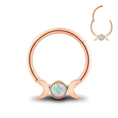 Produktbild: Longbeauty 316L Piercing Klicker Edelstahl Scharnier 16G Nasenringe Hoops Suptum Ring Körper Piercing Lippenringe Helix Knorpel Rook Ohrringe, Durchmesser 10mm, Rosegold