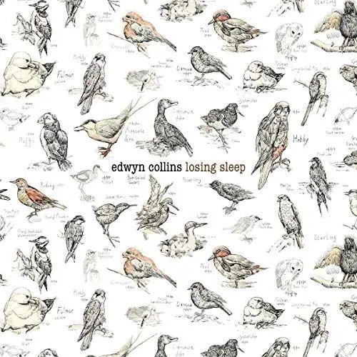 Produktbild: Losing Sleep