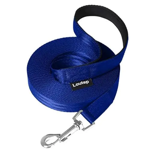 Produktbild: Loutep Schleppleine 3m 5m 10m 15m 20m hundeleine für Hunde kleine große Hund laufleine langlaufleine