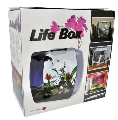 Produktbild: Lucky Reptile Life Box, Größe:35x20x35 cm. Farbe Beere