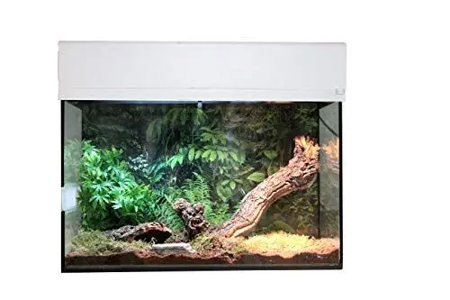 Produktbild: Lucky Reptile Starter Kit Vogelspinne/Skorpion, Farbe:Weiß