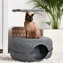 Produktbild: Lucky Sign - Katzenhöhle Katzentunnel aus Filz Katzenbett multifunktionalle Katzensofa gemütliches Katzenspielzeug für endlosen Spaß Katzenkorb Katzenkissen, 50x50x20cm - Dunkelgrau