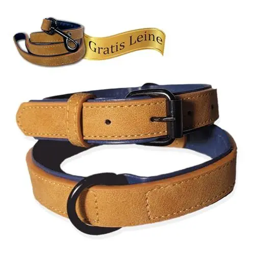 Produktbild: LUCON Hundehalsband Leder braun Halsband für Welpen und kleine Hunde mit einem Halsumfang von 27-37cm Lederhalsband gepolstert mit Metallschnalle