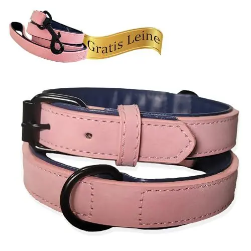 Produktbild: LUCON Hundehalsband mit Leine in rosa im Set Halsband für Welpen kleine und mittelgroße Hunde Lederhalsband gepolstert Leder Hundeleine mit starken Karabiener und Schlaufe