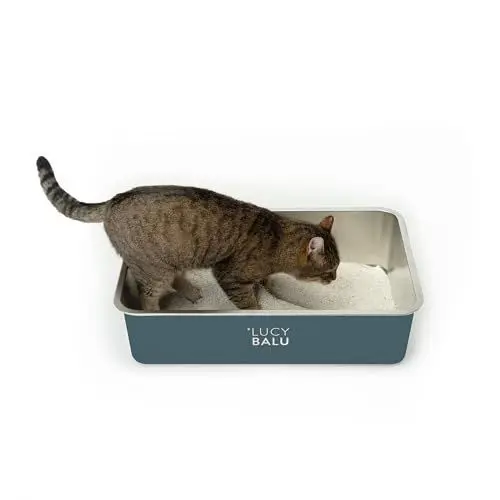 Produktbild: LucyBalu® Edelstahl Katzenklo geruchsfrei | große Katzentoilette aus Edelstahl | offenes Katzenklo für den Einstieg von Oben | hop-in Katzen Klo ohne Deckel | Katzen WC | Edelstahl Wanne | Anthrazit