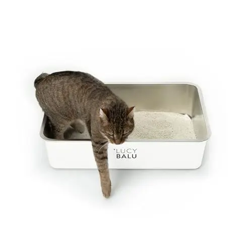 Produktbild: LucyBalu® Edelstahl Katzenklo geruchsfrei | große Katzentoilette aus Edelstahl | offenes Katzenklo für den Einstieg von Oben | hop-in Katzen Klo ohne Deckel | Katzen WC | Edelstahl Wanne | Weiß
