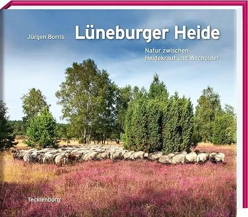 Produktbild: Lüneburger Heide: Natur zwischen Heidekraut und Wacholder