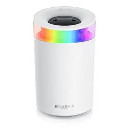 Produktbild: Luftbefeuchter 2,5 Liter leise - 7 LED Farben Stimmungslicht – 2 schaltbare Dampfausgänge – integriertes Aromaöl Fläschchen – 20m² Wohnzimmer Schlafzimmer Kinderzimmer - Aromafläschchen - weiß