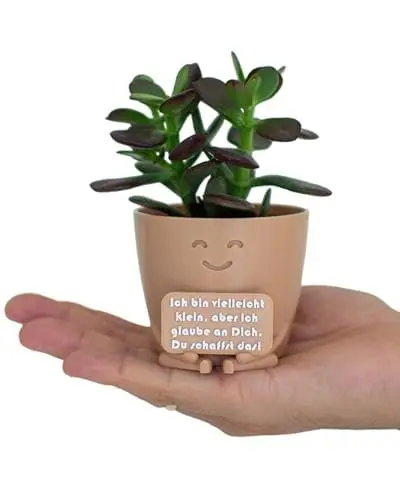 Produktbild: LUMENFLOW Sukkulenten Topf - Blumentopf mit Gesicht - Du schaffst das Geschenk - beliebteste Aufmunterung Geschenke - lustiger Blumentopf - Schreibtisch deko (Beige)