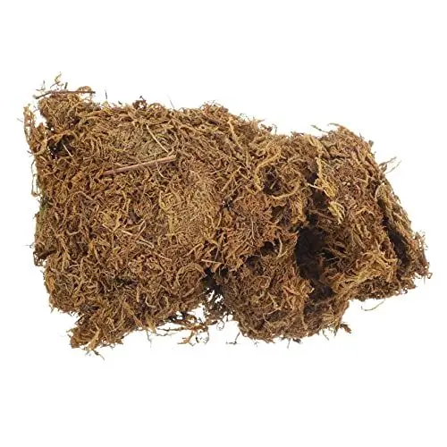 Produktbild: Lurrose 5 Stück 1 Ewiges Moos kunstpflanze kunstplflanze künstliches moos Artificial Plant Gartenornament Heimdekoration gefälscht natürliches Moos dekoratives Moos Pflanzenmoos Brown