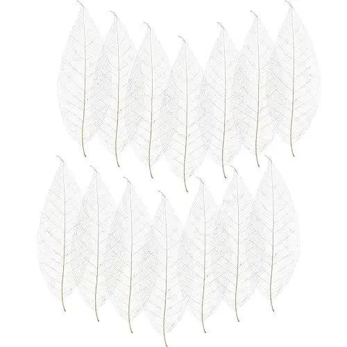 Produktbild: Luxshiny 100 Stück Natürliche Magnolien-Skelettblätter Dekor Getrocknetes Magnolienblatt Für Sammelalbum Prägung Diy-Handwerk Karte Hochzeitsdekoration Weiß
