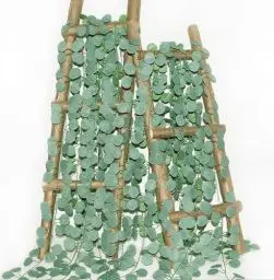Produktbild: MACTING 6er Pack Efeu Künstlich Eukalyptus Girlande, 210cm Länge Gefälschte Reben für Zimmer und Garten Wand Dekoration Innen Außen Hochzeit Party Wanddekoration Küche Hochzeit Balkon Dekoration