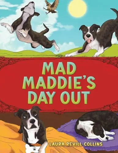 Produktbild: Mad Maddie's Day Out