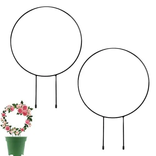 Produktbild: MAEXUS Rankhilfe Zimmerpflanzen, 2er Pflanzen Rankhilfe aus Metall Garten Pflanzen Kletterhilfe, Garten Rankhilfe Pflanzgitter, Rankgitter für Zimmerpflanzen Balkon