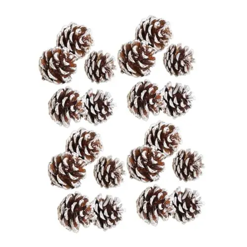 Produktbild: MAGICLULU 30 Stück Natürliche Getrocknete Tannenzapfen- Christbaumschmuck Weiß Gefrostete Tannenzapfen für Zuhause Fotografie Requisiten Basteln