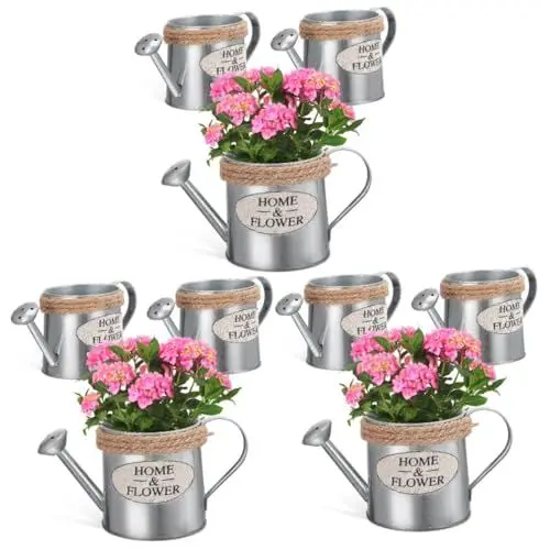 Produktbild: MAGICLULU 3 Sätze Zinnvase Dekorativer Krug Terrarienglas Luft Pflanzentopf Metallvase Tischdekoration Blumensträuße Vasendekoration Rustikale Gießkanne Schmiedeeisen 3 Stück * 3