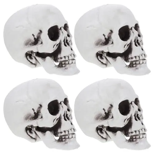 Produktbild: MAGICLULU 4 Stück Halloween-Totenköpfe Halloween- -Figur Realistische -Köpfe - Kunststoff-Totenköpfe Köpfe Menschliches Skelett Kopf Für
