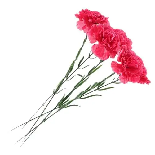 Produktbild: MAGICLULU 5 Stücke Nelke Künstliche Blumen Gefälschte Nelke Stiele Für Decor Realistische Rose Blütenblätter