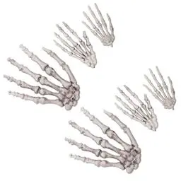 Produktbild: MAGICLULU Halloween-Skeletthände: Kunststoff-Skeletthände Gefälschte Menschliche Hände Künstliche Skeletthände Realistische Gruselige Skeletthände Aus Kunststoff Für Halloween-Dekoration 3