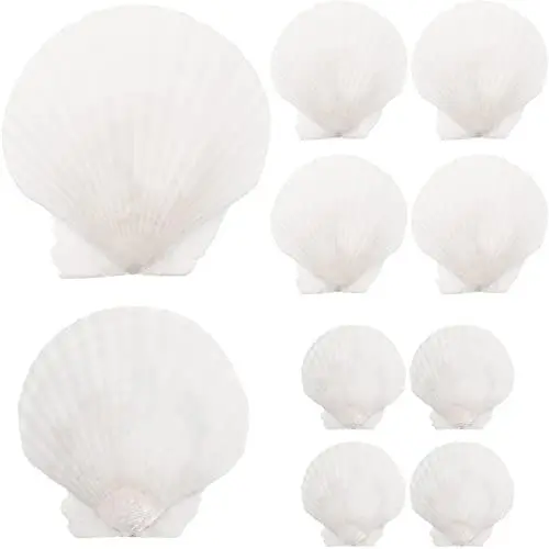 Produktbild: MAGICLULU Kammmuschel Christbaumschmuck Große Muscheln 10 Jakobsmuscheln Weiße Natürliche Muscheln Zum Selbermachen Für Wohnkultur Muscheln Groß Muscheln Groß Muscheln Groß Muscheldekor