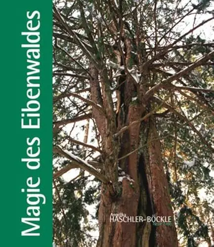 Produktbild: Magie des Eibenwaldes