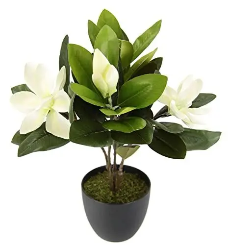 Produktbild: Magnolienbusch im Topf künstlich Blumen Deko Frühling Seidenblumen Raumdeko Magnolie Magnolienbaum Kunstpflanze Kunstblumen Kunstbaum Blume Zimmerpflanze Blüten Frühjahrsdeko Frühjahrsblüher Pflanze