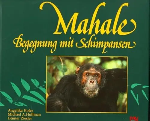 Produktbild: Mahale, Begegnung mit Schimpansen