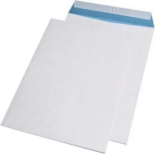 Produktbild: MAILmedia® Versandtasche, ohne Fenster, haftklebend, C4, 140 g/m², Kraftpapier, fadenverstärkt, weiß/blau (250 Stück), Sie erhalten 1 Packung á 250 Stück