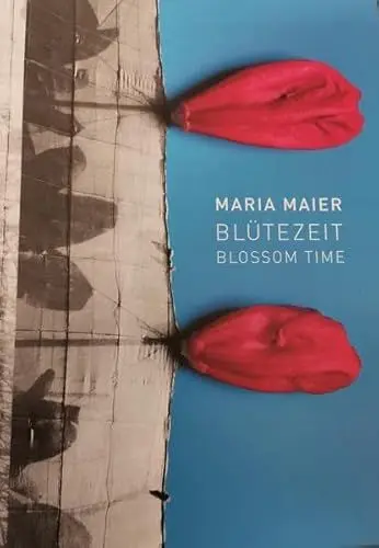Produktbild: Maria Maier BlüteZeit: Foto- und Papierarbeiten