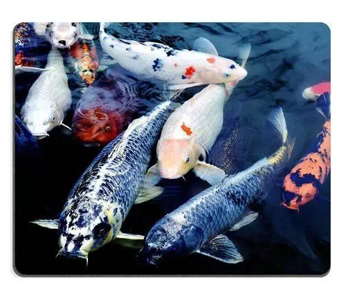 Produktbild: (Maus - Pads) - Mousepad, Naturkautschuk - Masken, Bunt geschmückten Koi - Teich, der in Drei Größen, von YANTG Unternehmen Verkaufen