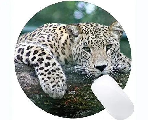 Produktbild: Mauspad, Säugetierraubtier Mousepad Rutschfester Gummi