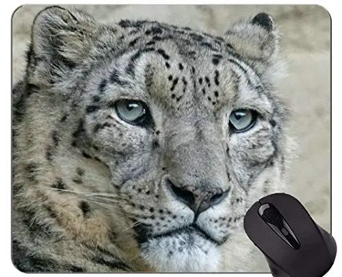 Produktbild: Mauspad mit Rastkante, rutschfestes Mousepad auf Gummibasis von Snow Leopard Wild Leopard