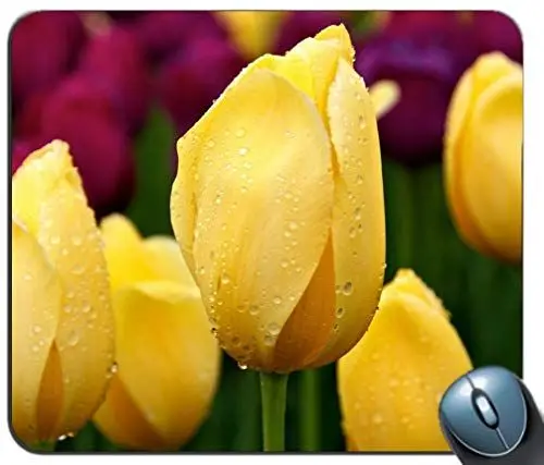 Produktbild: Mauspad mit rutschfester Gummibasis Wasserdichtes Standard-Gaming-Mauspad mit genähten Kanten (Tulpenmuster)
