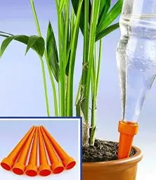 Produktbild: Maximex Bewässerungs-Spikes 6er Set, gleichmäßige Wasserversorgung von Pflanzen, für alle Wasser- oder Colaflaschen geeignet, einfache Bedienung, Maße (L x Ø) 1er: 14,9 x 3 cm