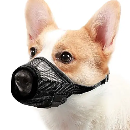 Produktbild: Mayerzon Maulkorb für Hunde, mit verstellbarem Klettverschluss, um Beißen, Bellen und Kauen zu verhindern, Luftnetz, atmungsaktiv, für kleine, mittelgroße und große Hunde (Black, M)