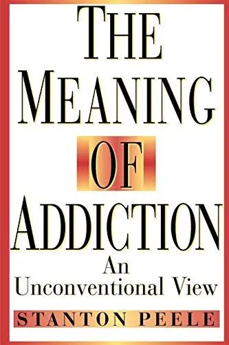 Produktbild: Meaning Addiction Unconventional 98 P: An Unconventional View