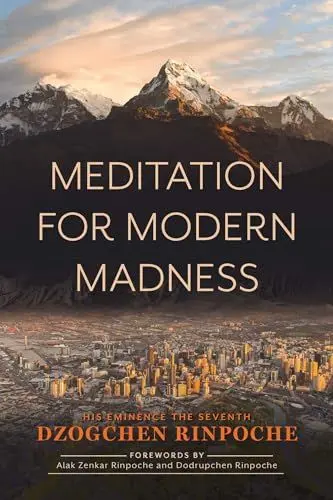 Produktbild: Meditation for Modern Madness