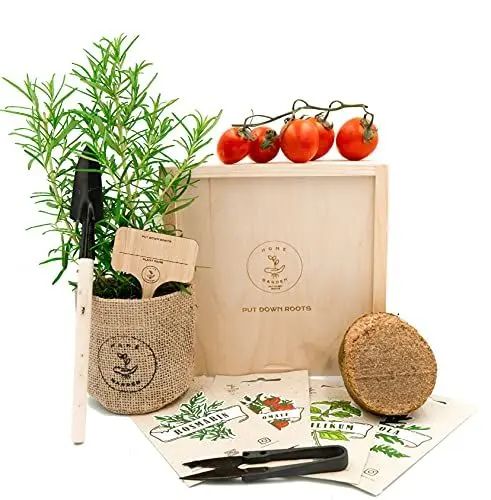 Produktbild: MEDITERRANE ANZUCHTSET 4 Sorten Pflanzen Samen- garten Starter-Set, öko Saatgut mit Holzkiste mit deckel, mini gewächshaus, kinderküche zubehör, Kinder Anzuchtset von PUT DOWN ROOTS