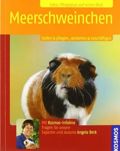 Produktbild: Meerschweinchen