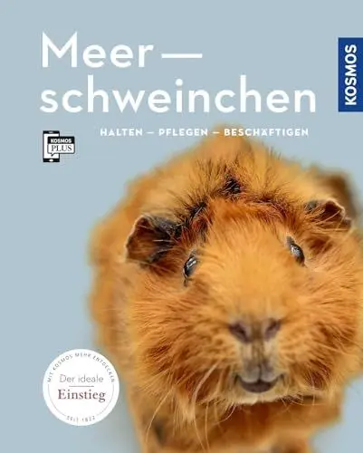 Produktbild: Meerschweinchen: halten, pflegen, beschäftigen (Mein Tier)