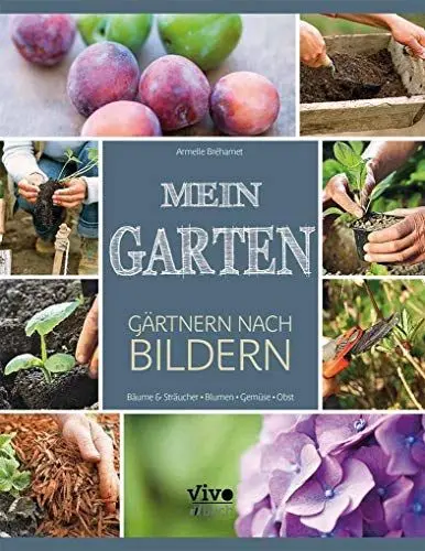Produktbild: Mein Garten - nach Bildern