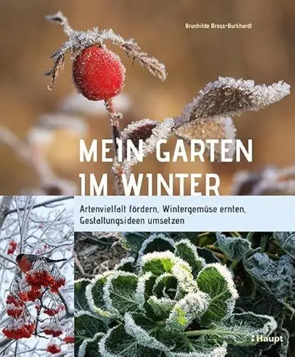 Produktbild: Mein Garten im Winter: Artenvielfalt fördern, Wintergemüse ernten, Gestaltungsideen umsetzen