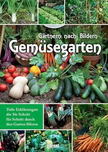Produktbild: Mein Gemüsegarten: Tolle Erklärungen, die Sie Schritt für Schritt durch den Garten führen