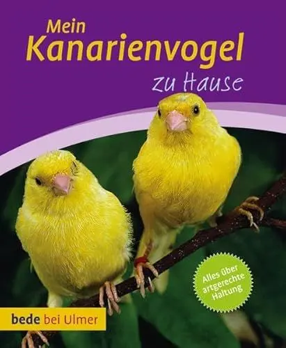 Produktbild: Mein Kanarienvogel zu Hause: Von den Überlegungen vor der Anschaffung, bis zum verantwortungsbewussten Umgang mit Kanarienvögeln