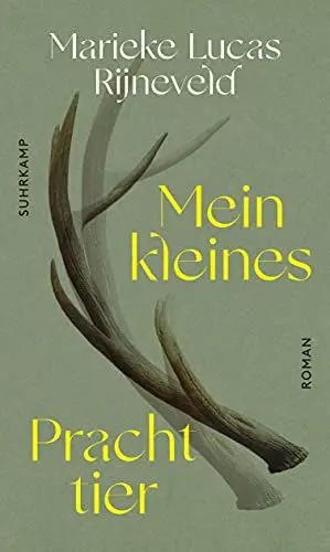 Produktbild: Mein kleines Prachttier: Roman